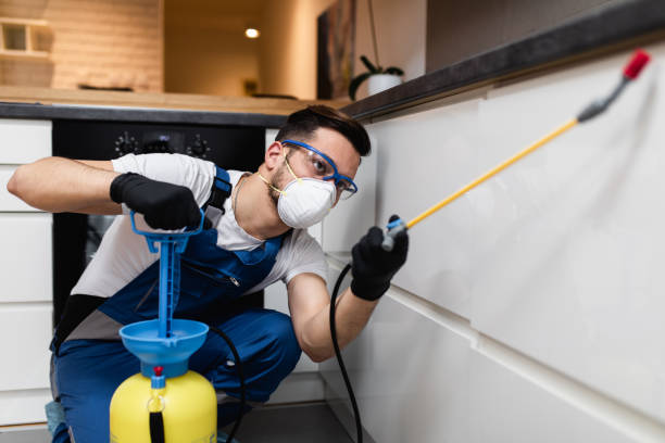 Best Pest Control Near Me  in North Cape May, NJ