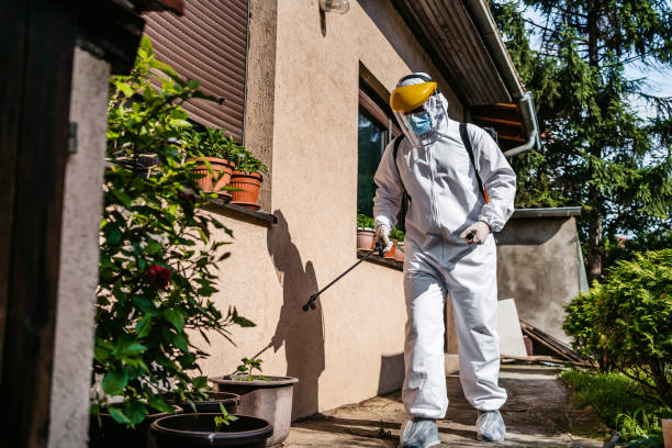 Best Pest Prevention Services  in North Cape May, NJ