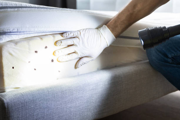 Best Bed Bug Extermination  in North Cape May, NJ