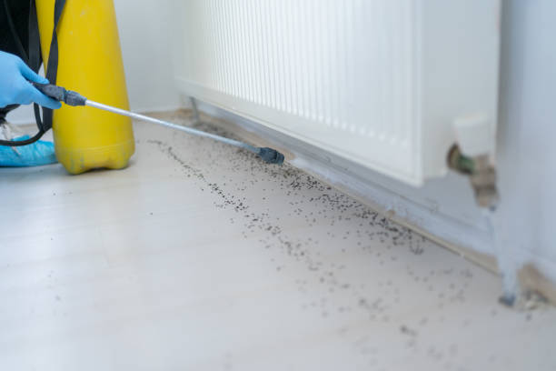 Best Bed Bug Extermination  in North Cape May, NJ