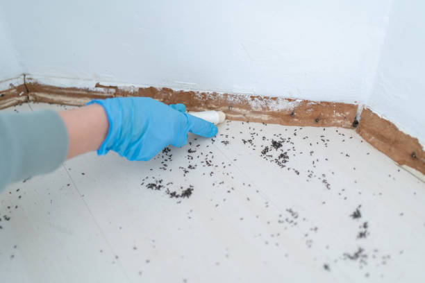 Pest Control for Restaurants in North Cape May, NJ