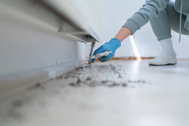 Wildlife Control Services in North Cape May, NJ